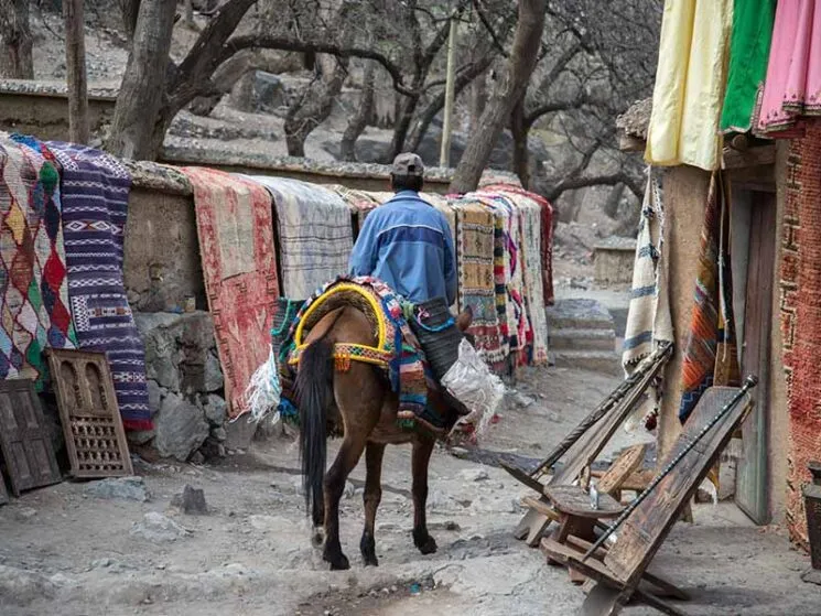 Imlil Valley day trip from Marrakech - Man riding donkey and beautiful carpets aside the road