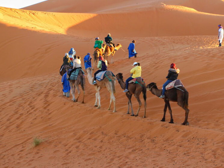 2 days tour from marrakech to zagora desert - camel ride